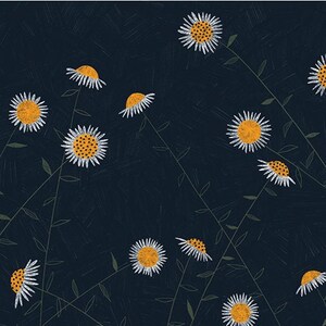 Nature Walk Daisies Print