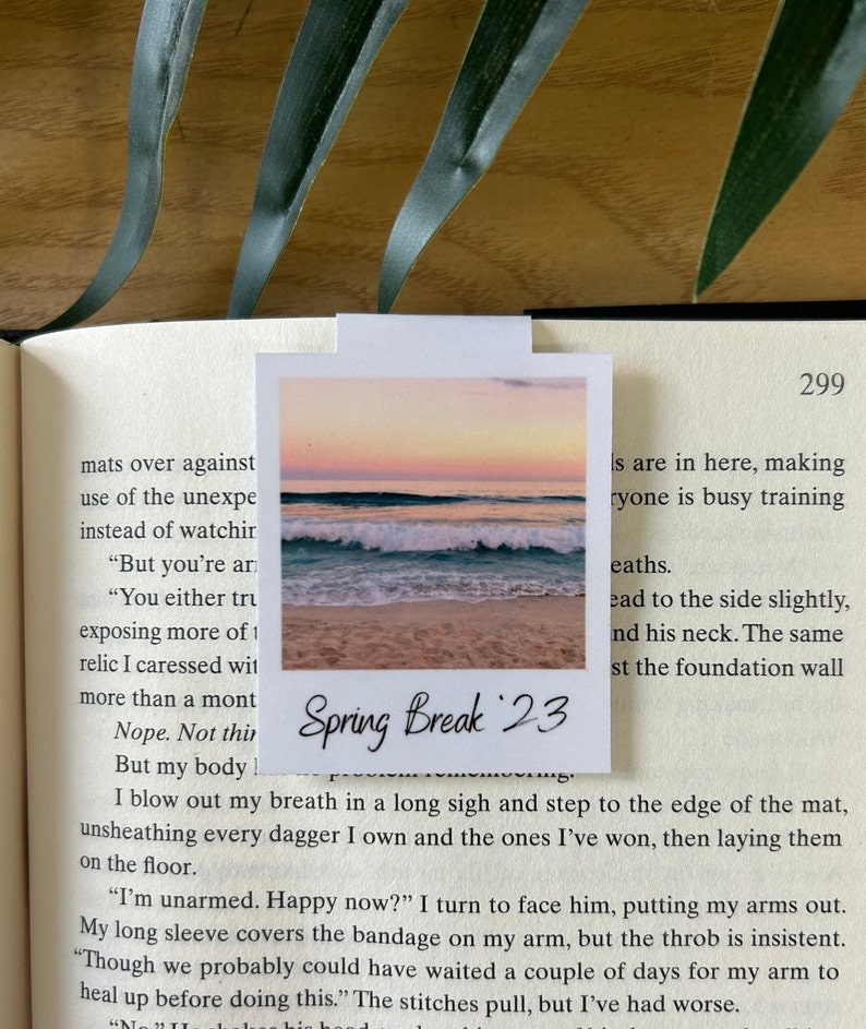 May include: A Polaroid photo of a sunset over the ocean with the text "Spring Break '23" written on it.