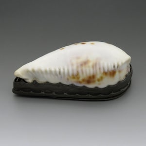 May include: A white seashell with brown markings is mounted in a silver-colored metal frame. The shell is oval-shaped and has a textured surface.
