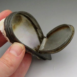 Photo inspiration: Fresh Look at Antique Georgian 18Th Century Natural Cowrie Shell Pewter Hinged Lid
