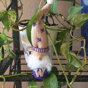 WA Huskies Football Gnome