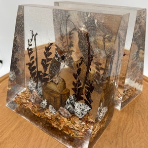 May include: A pair of clear acrylic bookends with a woodland scene inside. The bookends feature a small owl, leaves, branches, and rocks.