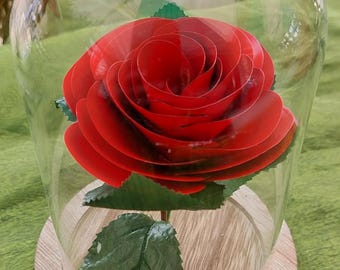 Rosa de aluminio abovedada al estilo de La Bella y la Bestia