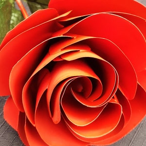 Puede incluir: Una sola rosa de papel rojo brillante con un dise&ntilde;o en espiral. La rosa est&aacute; hecha de m&uacute;ltiples capas de papel, creando un efecto tridimensional.