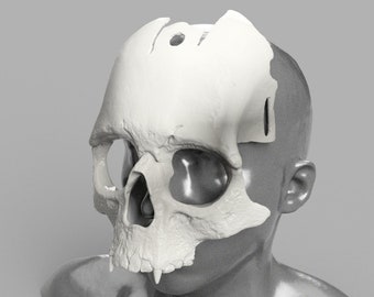 Skull Death - 3D Model