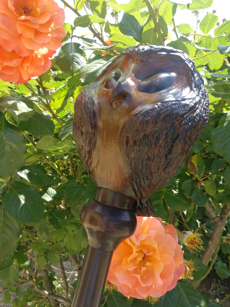 The Owl House Willow Palisman Staff Clover Simple 3D Etsy Canada