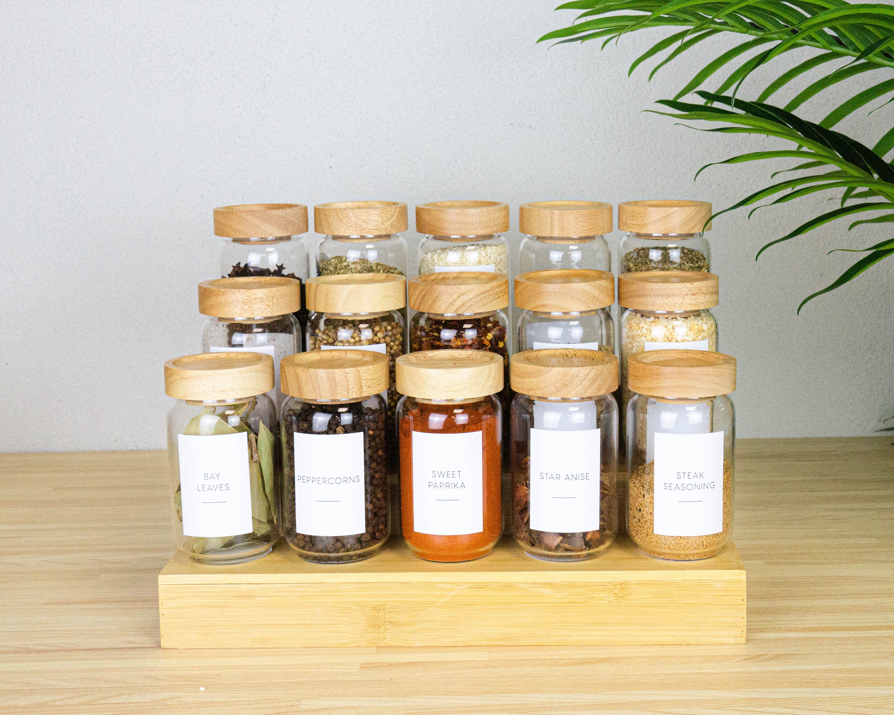 6 Large Square Glass Spice Bottles 6 oz Jars with Silver Metal Lids, Shaker  Tops by SpiceLuxe