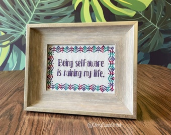 Self- Aware framed cross stitch