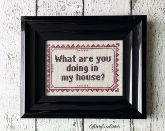 What Are You Doing framed cross stitch