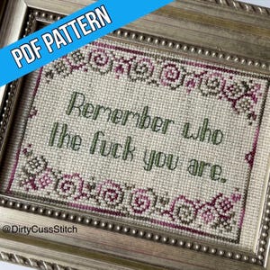 May include: A framed cross-stitch with the text "Remember who the fuck you are." in green thread on a beige background. The frame is silver with a beaded border and a floral design around the edge of the cross-stitch.