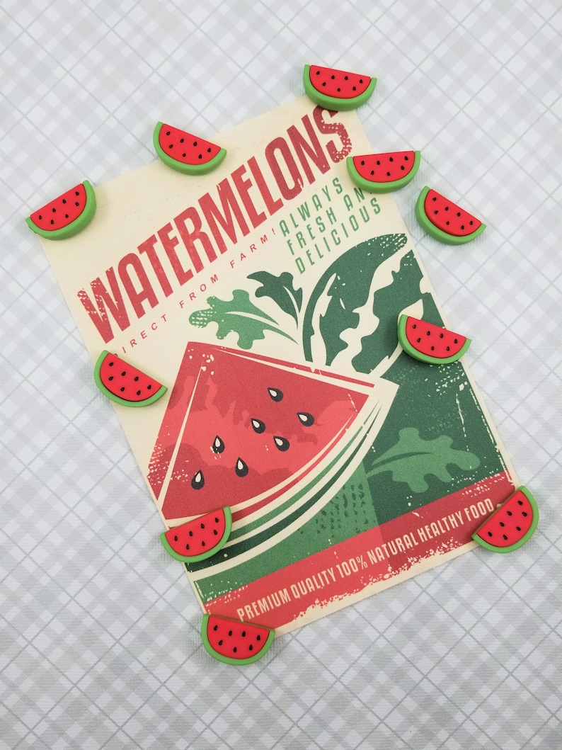 Neodymium Magnets Resin Magnets Picnic Watermelon Decorative Magnets Foodie Magnets Fruit Magnets Summertime Set of 10 SUPER STRONG