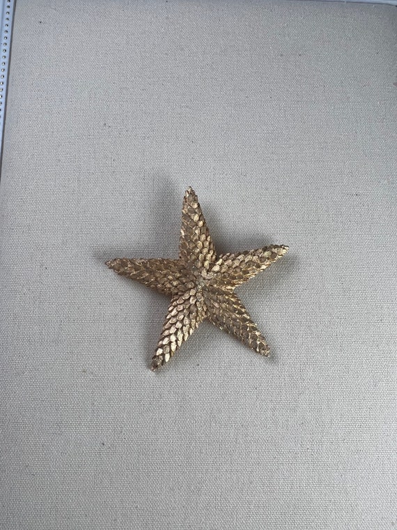 Vintage Starfish Brooch/Vintage Jewelry/ Vintage/… - image 1