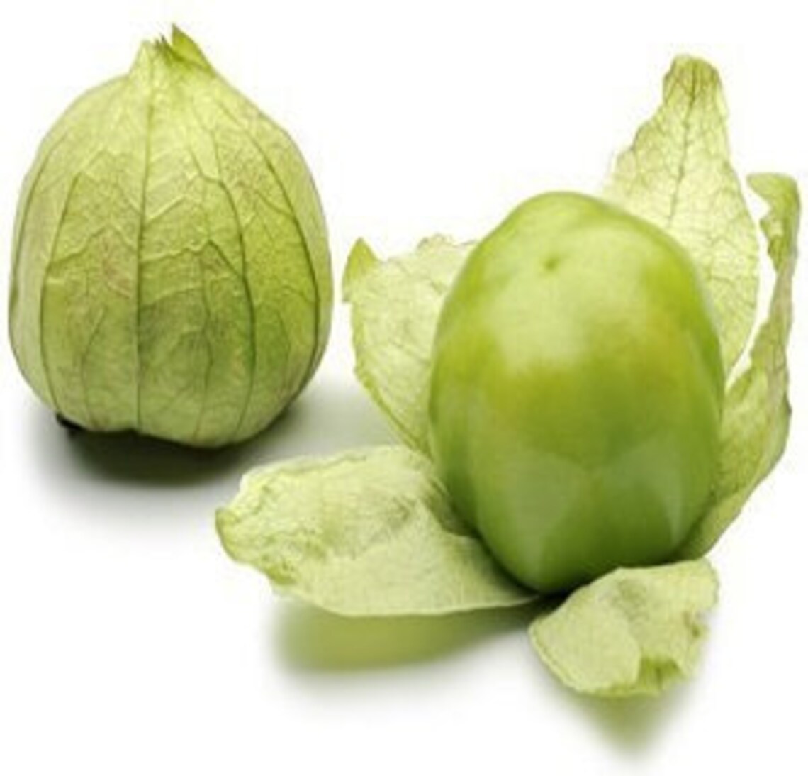 HeirloomSupplySuccess Heirloom Tomatillo Toma Verde Seeds Etsy