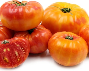 Pineapple Tomato Seeds for Planting, Heirloom Non-GMO Bi-Color Beefsteak Tomatoes, Sweet Yellow Red Striped Fruit, Garden Vegetable Seed