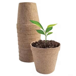 3 Inch Biodegradable Seedling Pots Pack of 10, Eco Friendly Peat Fiber Starter Cups, Non Toxic Planting Pots, Backyard Homestead Supply