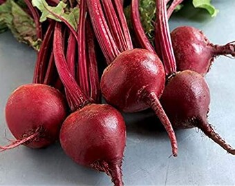 May include: A cluster of fresh beets with vibrant red roots and stems, and green leafy tops. The beets are a deep reddish-purple color, with a bulbous shape and a textured surface. The stems are long and slender.