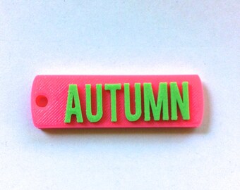 May include: A pink plastic keychain with a green "AUTUMN" inscription.