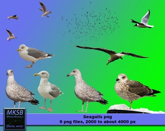 Photoshop Overlays. png seagulls. Crops to edit your own photos. E.g. well suited for wedding and children's pictures.