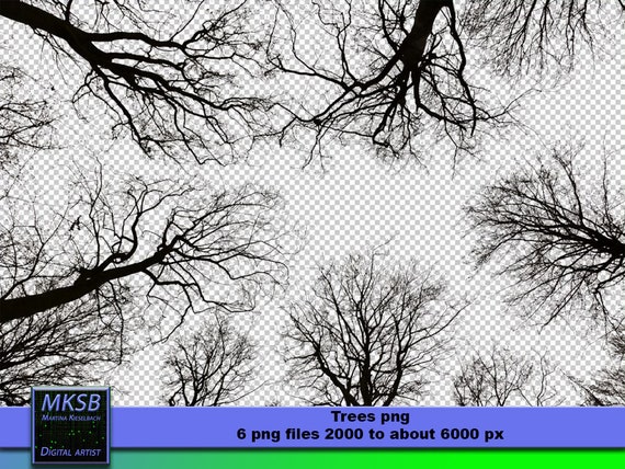 Alberi Png Overlay Photoshop Digital Download Download Etsy