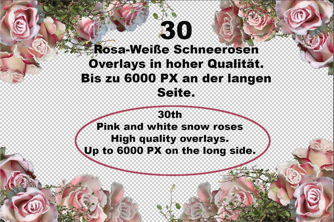 Photoshop Overlays. Pink Roses Png. Isolates for Editing Your Own ...