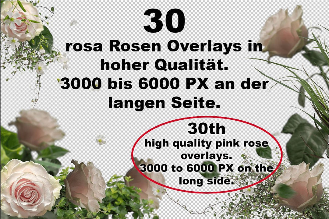 Photoshop Overlays. Pink Roses Png. Isolates for Editing Your Own ...