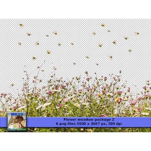 Superpositions Photoshop. Pré de fleurs png. Exemptions pour créer votre propre art numérique. Convient pour les mariages, les photos d'enfants, les cartes.