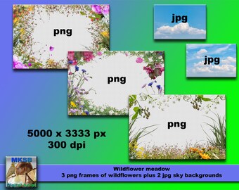 Photoshop Overlays. Wildblumen Rahmen. Blumen Rahmen zum Bearbeiten deiner eigenen Fotos. Z.B. gut geeignet für Hochzeits - und Kinderbilder