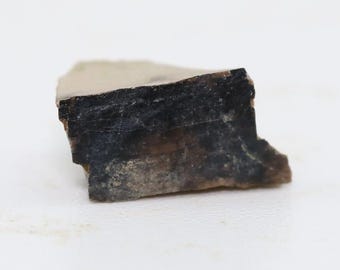 Tyrannosaurus rex T Rex small tooth fragment Lance Creek Wyoming WY COA 6939