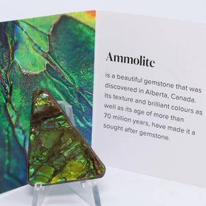 May include: Ammolite gemstone, a triangular shape with iridescent green, gold, and brown hues. The gemstone is displayed with a card that reads "Ammolite" and describes its origin in Alberta, Canada.