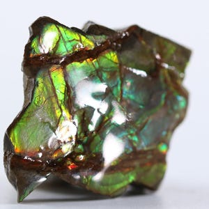 May include: A polished ammolite gemstone with a vibrant display of colors. The surface reflects iridescent greens, yellows, and reds, with brown matrix. The gemstone has a rough, natural shape, showcasing its unique geological formation.