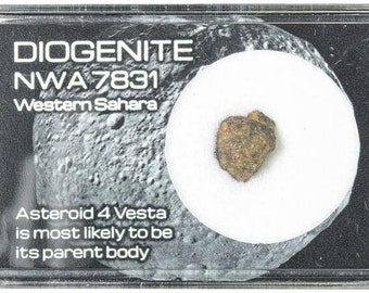 Diogenite Meteorite from 4 Vesta .39 inch Western Sahara COA 6304