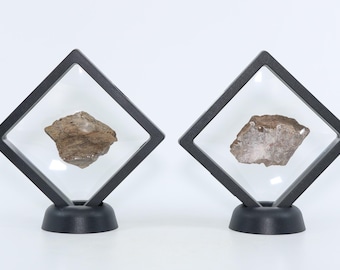 Dinosaur Apex Predators Tyrannosaurus rex & Allosaurus Fossil Bones COA 6693