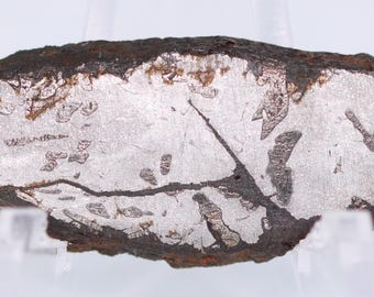 Famous Meteor Crater Meteorite etched slice 1.82" Diablo Canyon Arizona AZ COA 7056