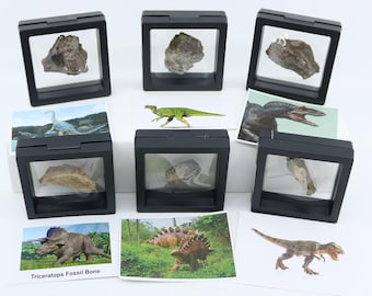 Dinosaur Cove by Rex Stone / Choose One - Etsy