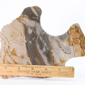 Lapidary Picture Jasper Awesome Slab 7.1&quot; polished both sides Oregon 5916