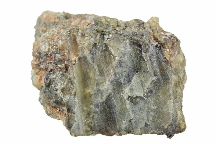 Diogenite Small Meteorite NWA 7831 Vesta Minor Planet Found Western Sahara COA 6241