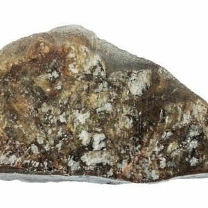 Diogenite Meteorite NWA 7831 Vesta Minor Planet Found Western Sahara COA 6239