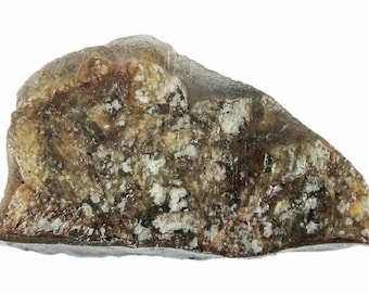 Diogenite Meteorite NWA 7831 Vesta Minor Planet Found Western Sahara COA 6239