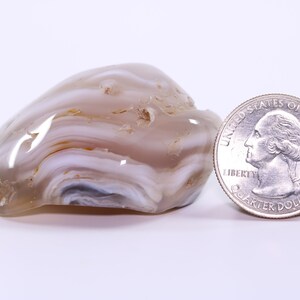 May include: A white and brown agate stone with a swirling pattern. The stone is about the size of a US quarter.