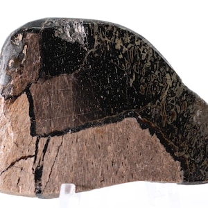 May include: A polished, irregularly shaped stone with a mix of colors. The top portion is a glossy black, transitioning to a brown and tan base. The stone has a unique pattern and texture, with visible cracks.