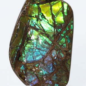 May include: A polished, iridescent gemstone with a vibrant display of colors. The stone features a mix of green, yellow, blue, and brown hues, with a network of dark lines across its surface. The gemstone is approximately 4 inches long.