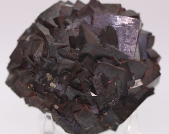 World Class Superb Goethite Pseudomorph after Pyrite Pelican Point Utah Free Shipping 2790