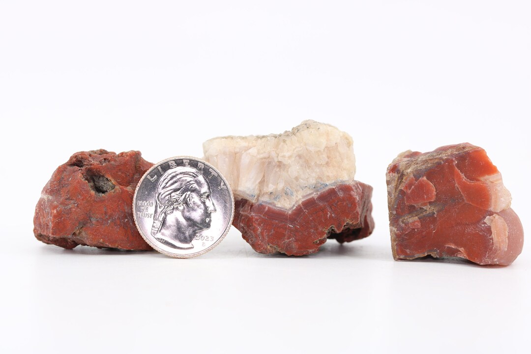 Fossil 6013 new arrivals