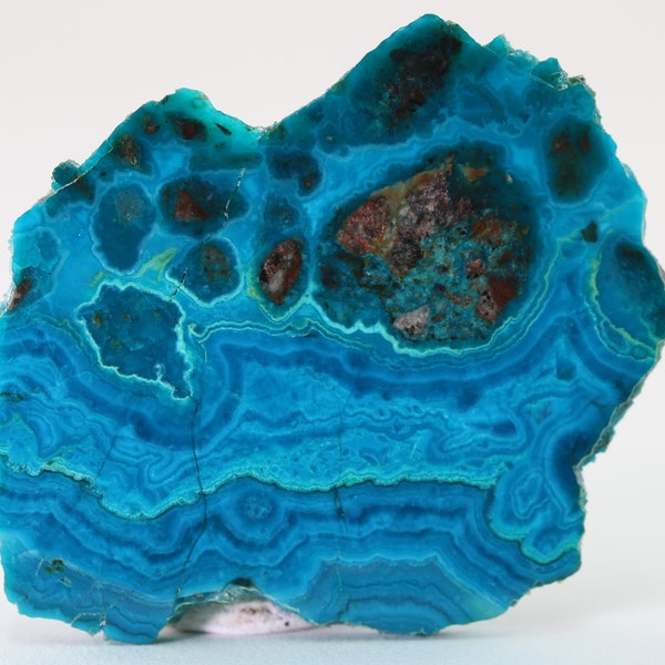Chrysocolla and Malachite 2.05" Polished 1 side Bagdad Mine Arizona COA 3839 Free Shipping