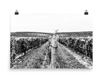 Wine Country Watercolor Napa Valley golden star farms in the Vineyard Print