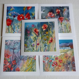 Lot de 5 cartes sur le thème du coquelicot