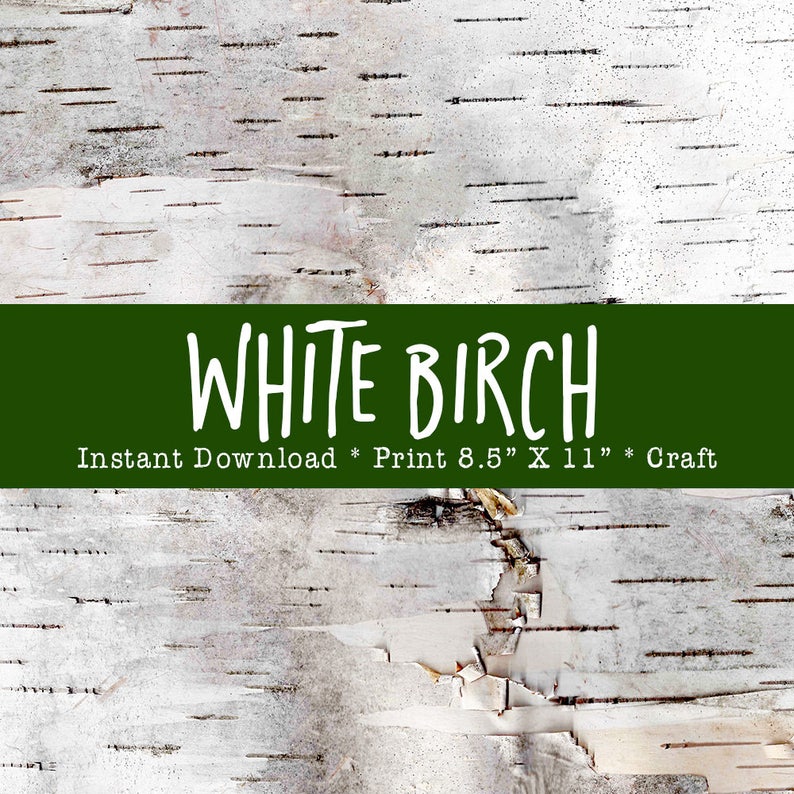 BIRCH BARK Printable, Birch Bark Paper Crafts, Photo Birch Bark Paper ...