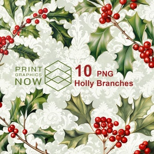 Holly Branches Clipart, Christmas Holly and Berries PNG Transparent Background, Commercial Use Clip Art