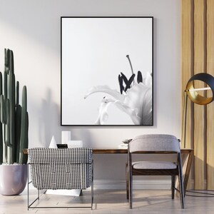 Serie 5 de fotografías en blanco y negro de flores de lirio blanco / Arte mural imprimible / Descarga instantánea