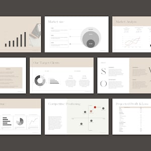 May include: A business presentation with charts and graphs showing market trends, size, analysis, target clients, sales of revenue, competitive positioning, SWOT analysis, and projected profit and loss.